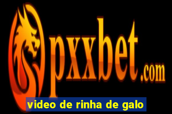video de rinha de galo